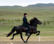 Töfri fra Kjartansstðum